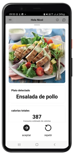 Diario de comida y macronutrientes